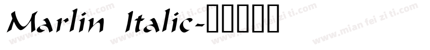 Marlin Italic字体转换